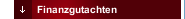 Finanzgutachten 